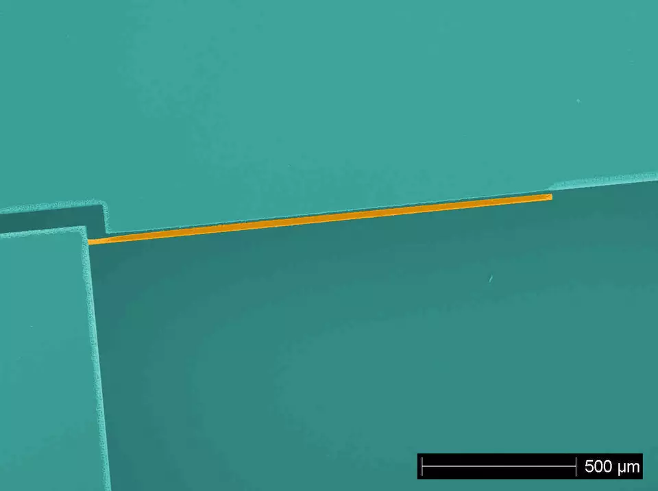 Colorized micrograph of a silicon micro-cantilever