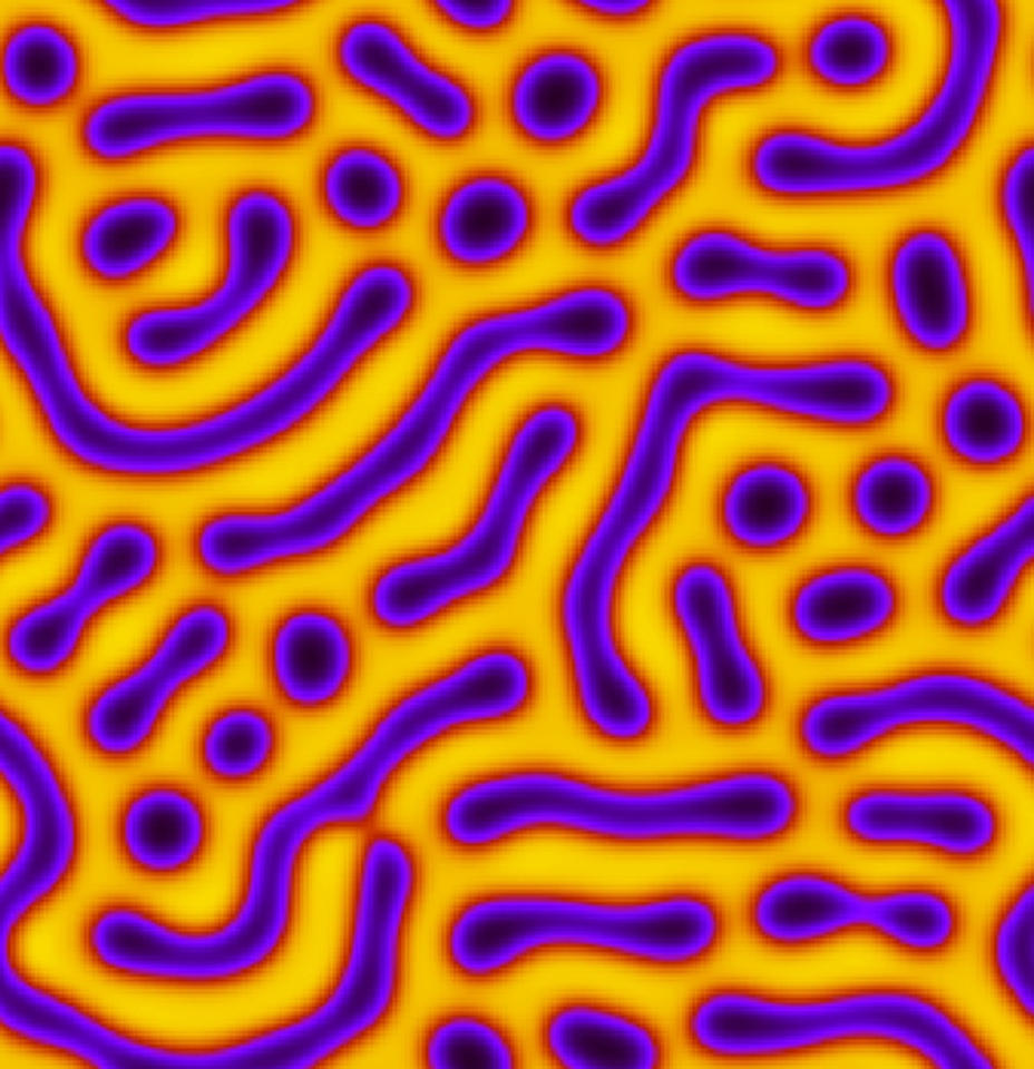 computer model of a polymer mixture