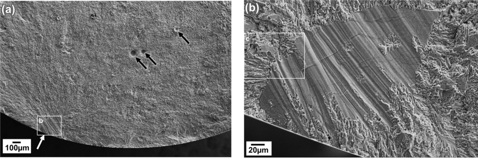 Scanning electron microscope (SEM) images of AM titanium alloy (Ti-6Al-4V) high-cycle fatigue fracture surfaces showing fatigue crack initiation at lack-of-fusion (LOF) defect (white arrow).  Also shown on the same fracture surface are entrapped gas pores
