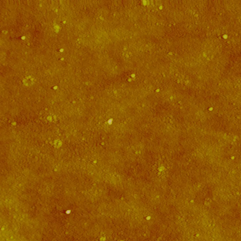 AFM (Atomic force microscopy) image of silver nanoparticles