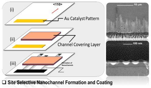 Site selective nanochannel formation and coating