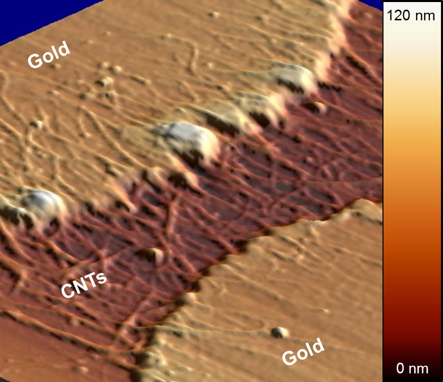 Micrograph of recession and clumping in gold electrodes 