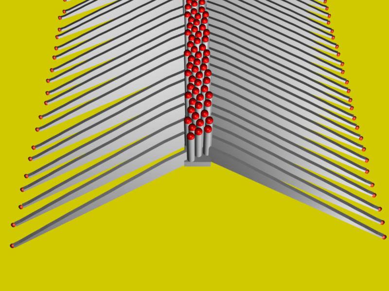 Illustration of a single row of nanowires