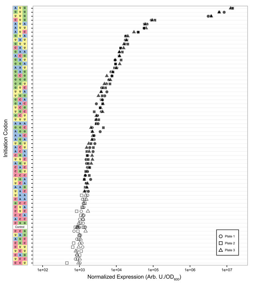 Image of codon levels