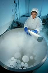 Biologist Barbara Porter removes a container of tissue samples in NIST Biomonitoring Specimen Bank for analysis