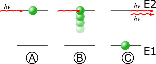 Stimulated Emission