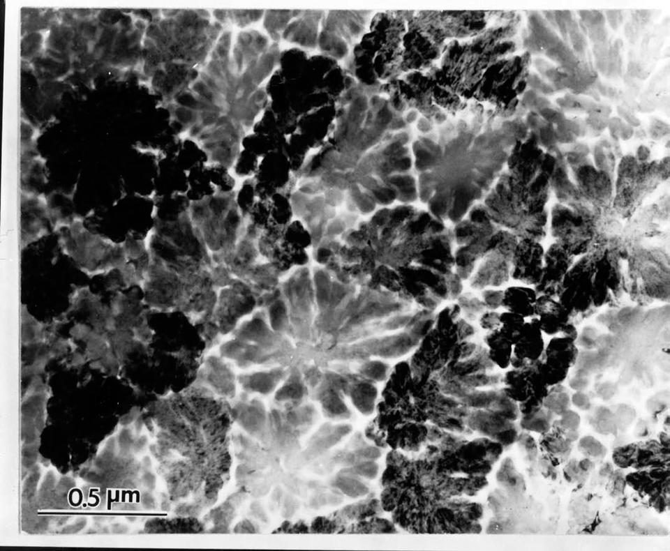 The First View of the Icosahedral Phase in a Quasicrystal Compound