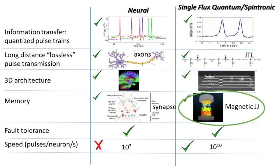 neuromorphic systems