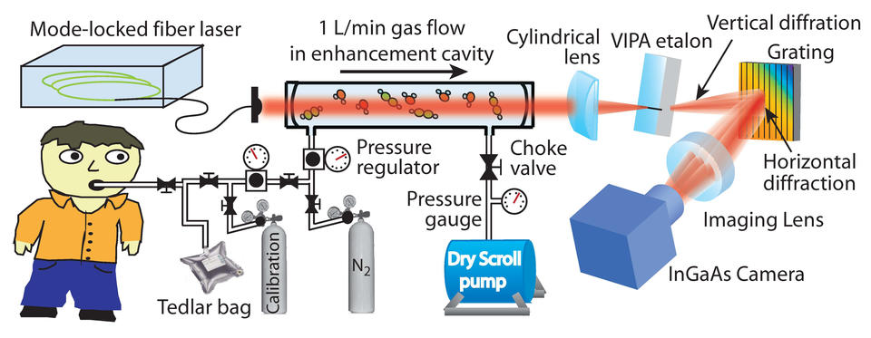 Cartoon schematic of breath analyzer