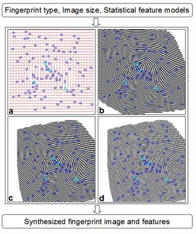 Synthesized fingerprints