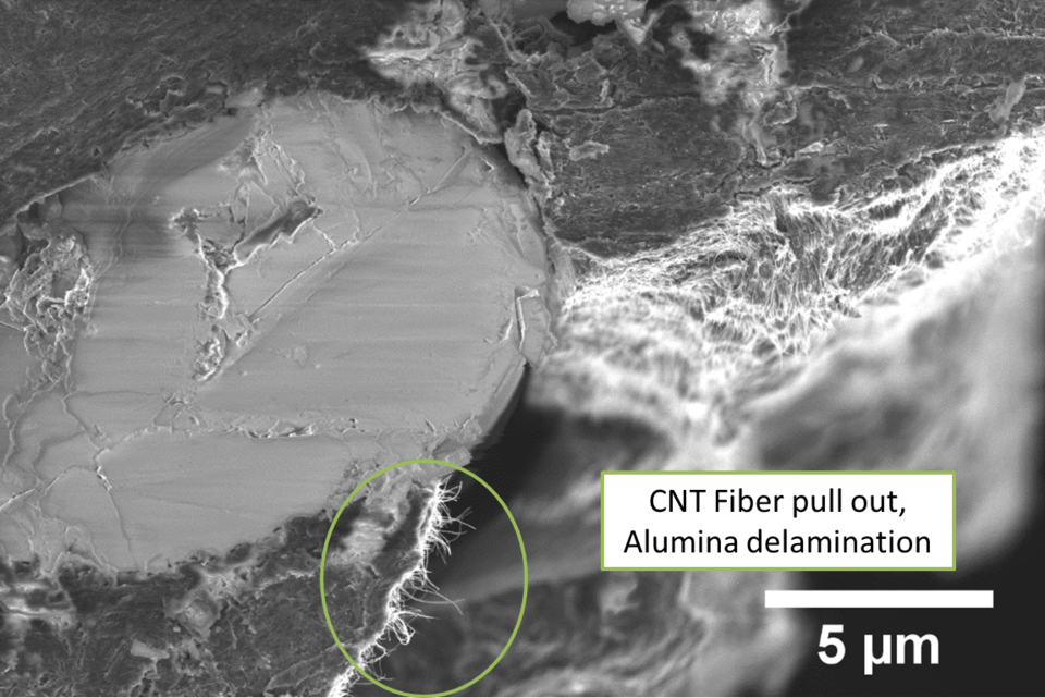 Microscopic imaging of the fracture surface of an alumina fiber reinforced composite. Shows the fibers embedded in the polymer resin.