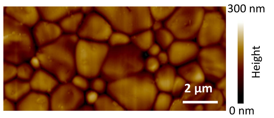 ferroelastic domains (striations) within each crystal