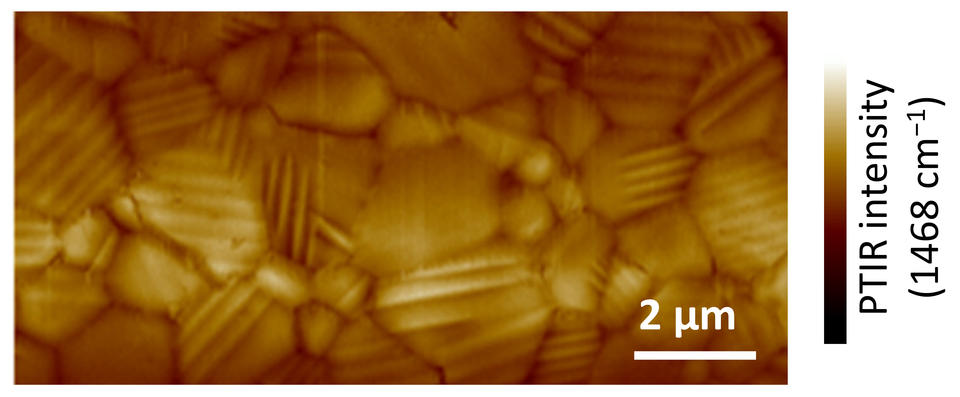 image of topography of a polycrystalline sample of the perovskite