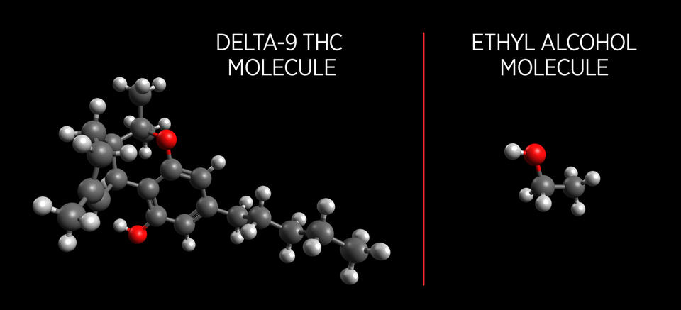 Illustration with light gray and dark gray balls with a few red balls, all connected, showing Delta-9 THC molecules and fewer connected light gray, darker gray and a red ball illustrating  and Ethyl Alcohol molecules