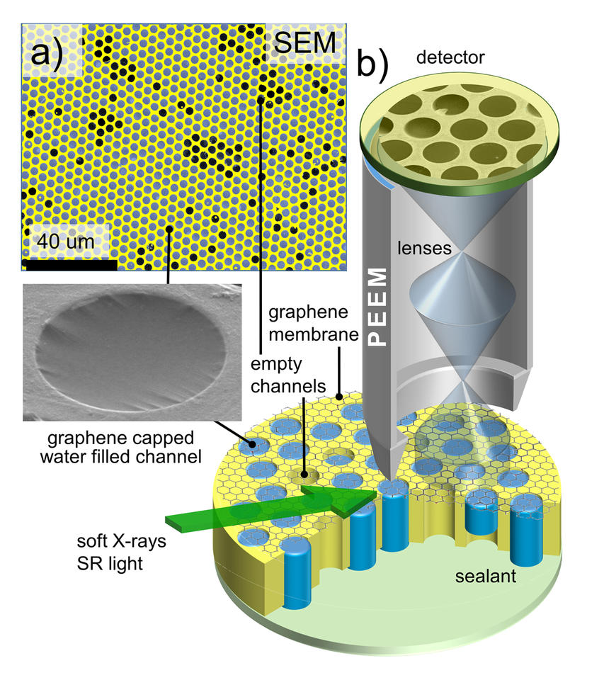 Graphene-capped Liquid Imaging Setup