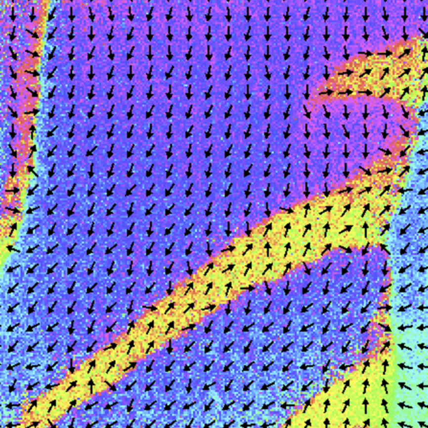SEMPA image showing the magnetization of an unpatterned region of Ta/CoFeB.