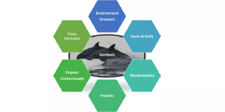 Multimodal Exposure Science