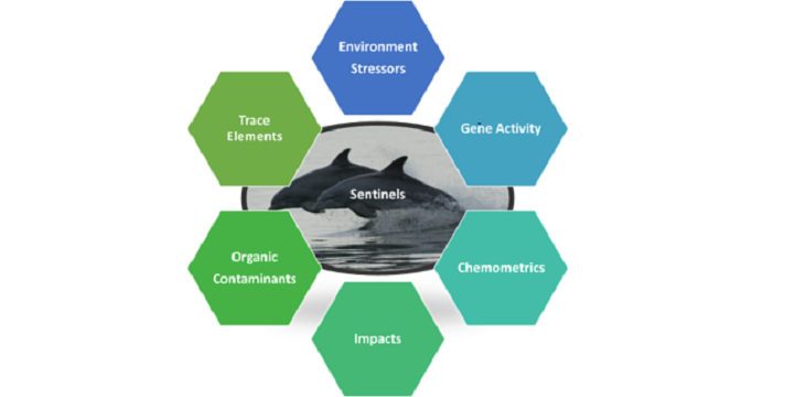 Multimodal Exposure Science