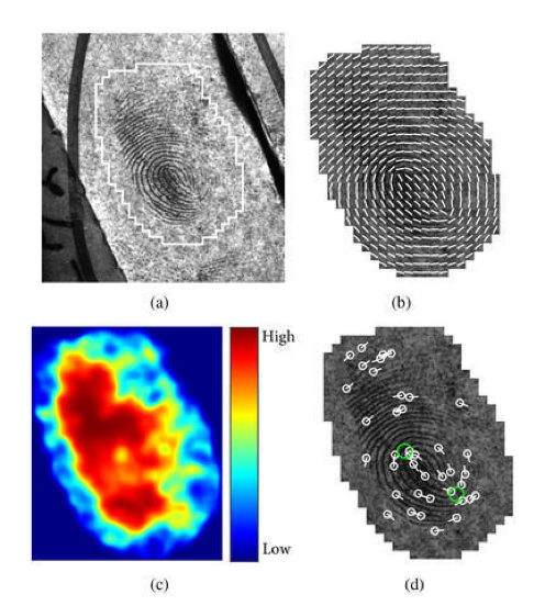 fingerprint analysis