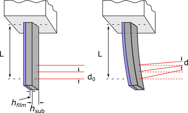 Schematic of cantilever bending due to stress generation in a thin membrane upon swelling with water.
