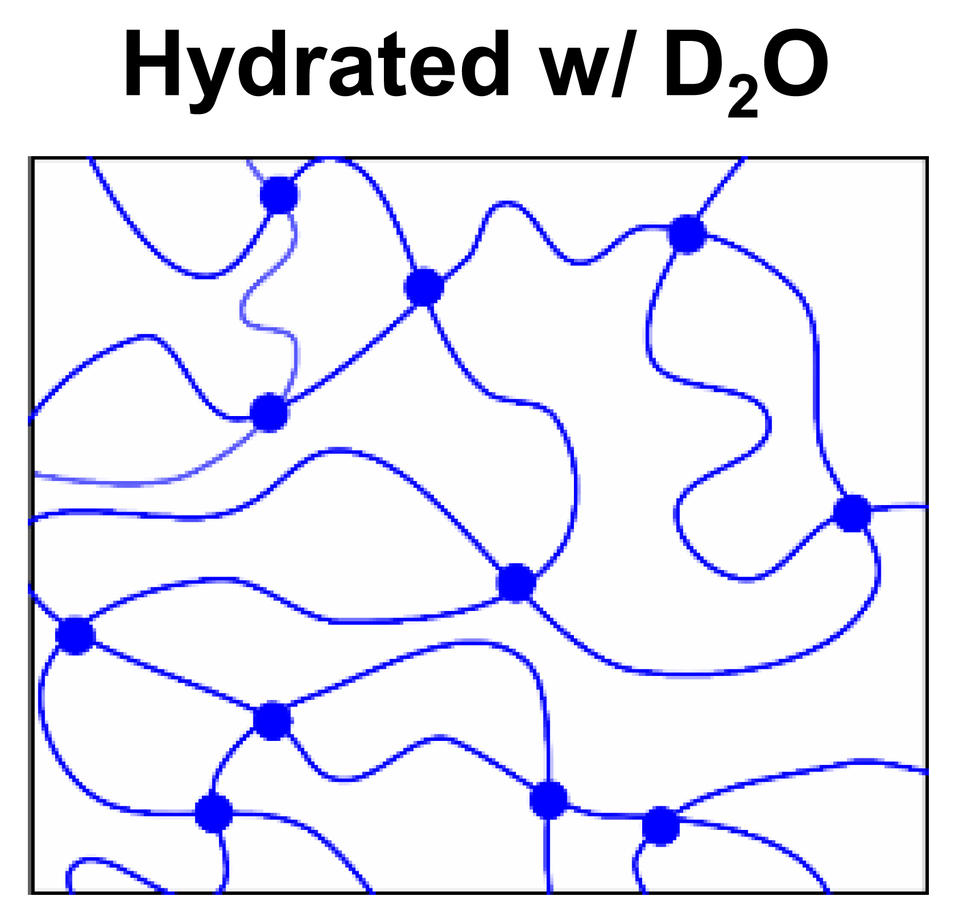 Schematic showing how neutron contrast can highlight polymer network chains on a small length scale.