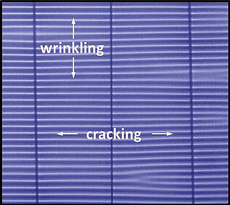Optical image showing a thin membrane that has undergone both wrinkling and cracking.