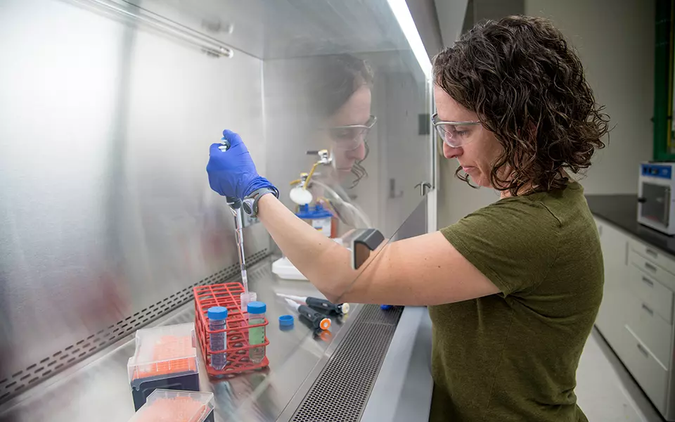 Researcher Erica Stein pipetting under chemical hood