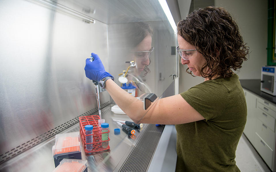 Researcher Erica Stein pipetting under chemical hood