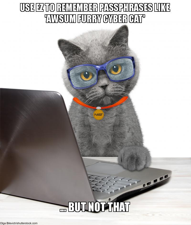 Cyber Cat Passphrase meme
