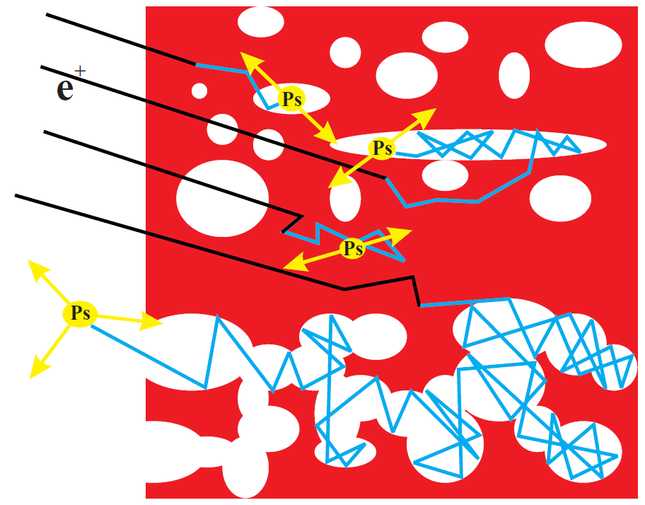 Positronium formation in polymers