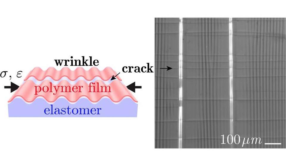 polymer film,  film on an elastomer substrate