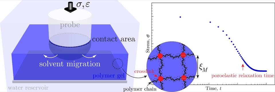 hydrogel