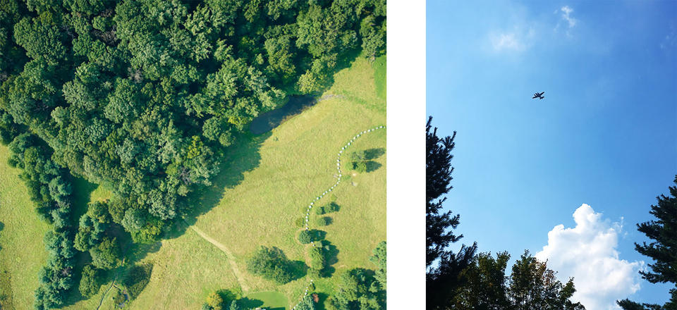 An aerial image of a forest and an image of a plane flying overhead.