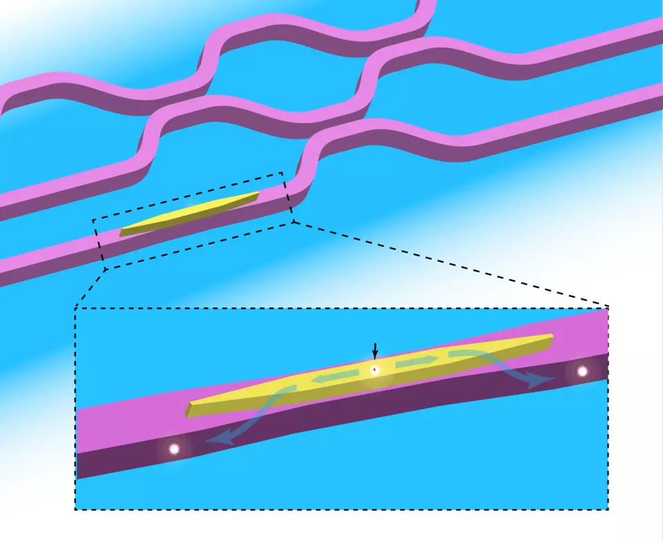 Image showing several lines of a circuit, with an inset showing a device that has both a quantum dot and a network of waveguides