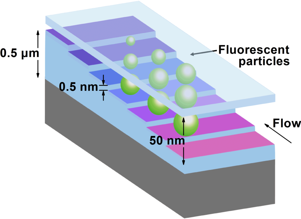 sphere-shaped particles of different sizes on a nanometer-scale staircase with 7 steps