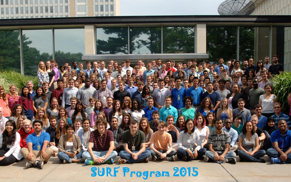 2015 Summer Undergraduate Research Fellows