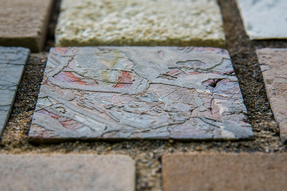 Fossil-filled marble from Salzburg, Austria