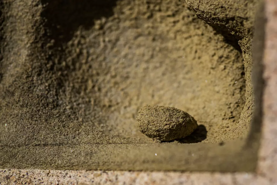 NIST Stone Test Wall Ohio sandstone detail of loose nugget sitting in weathered pocket