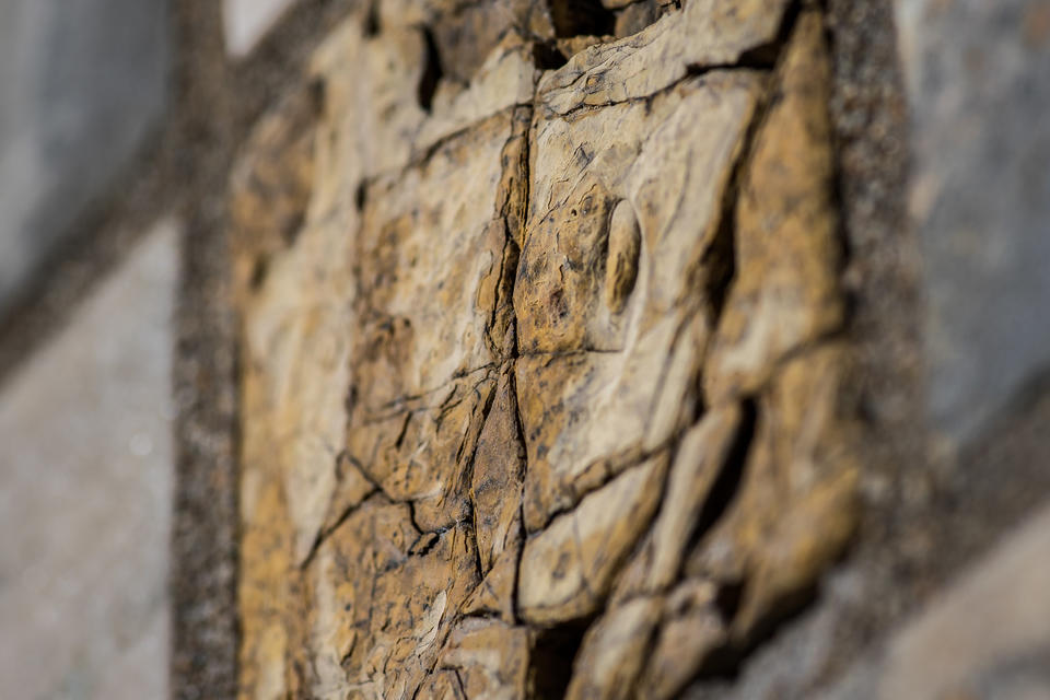 NIST Stone Test Wall Portuguese yellow marble fissures detail