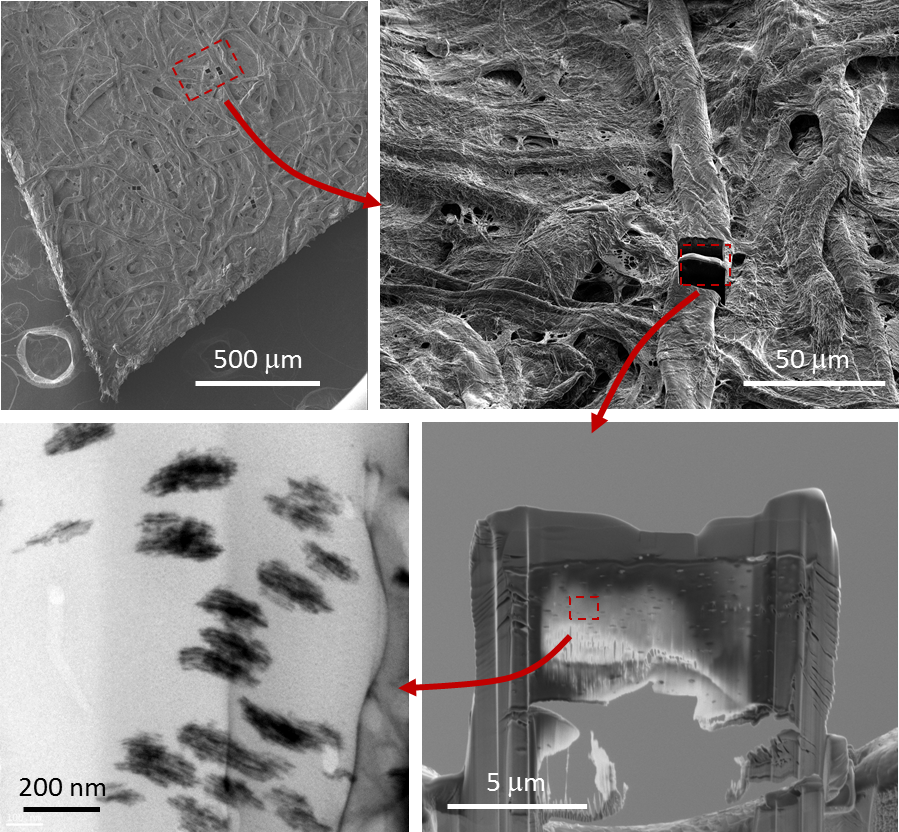  transmission electron microscope images of PtPd print paper sample