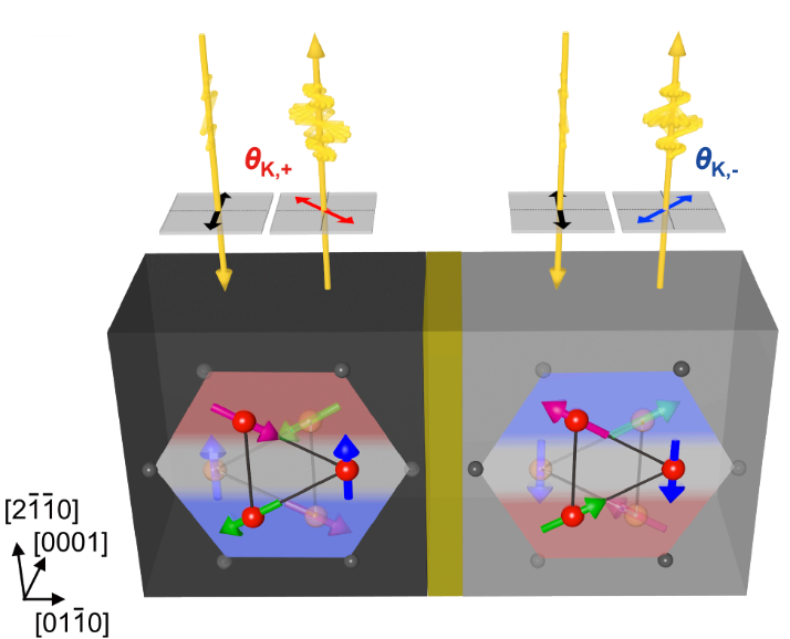 The image shows two regions with opposing chiral antiferromagnetic domains (gray/black) in the chiral antiferromagnet Mn3Sn.