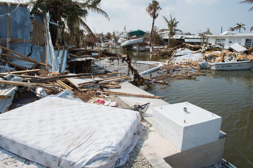 Destruction of Hurrican Irma. Downed trees. Destroyed houses. Debris.