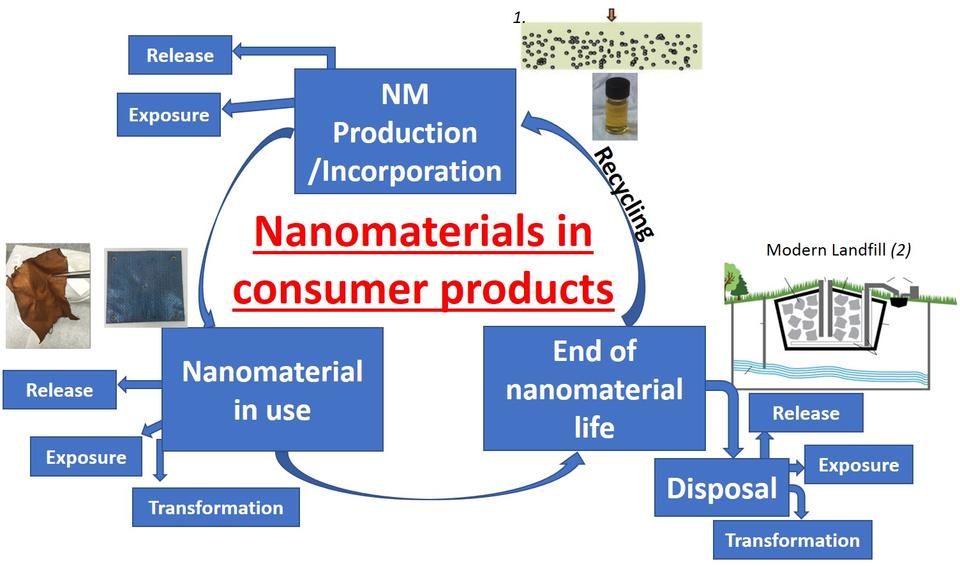 Nanomaterials in consumer products