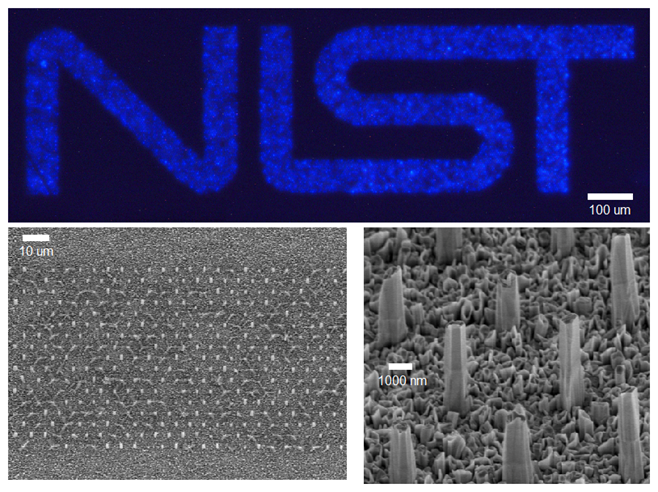 NIST logo in GaN nanowires