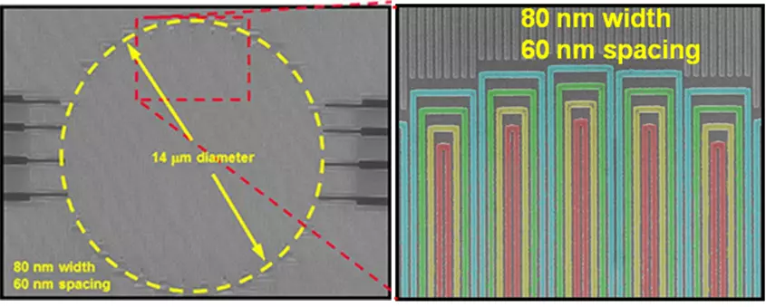 Four-element superconducting nanowire single-photon detector