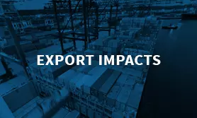 Export Impact Thumbnail