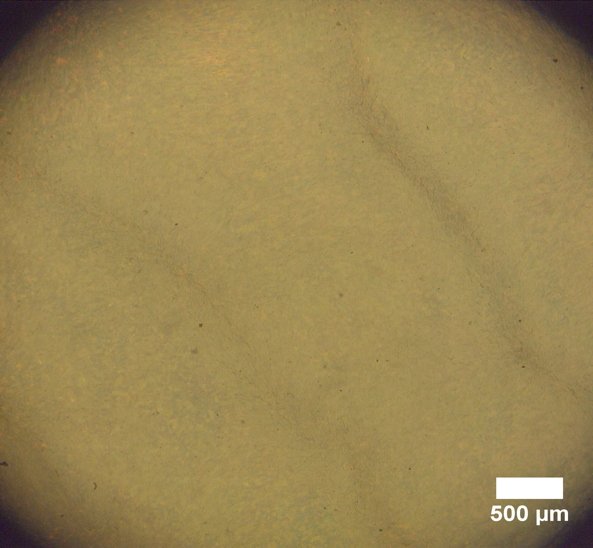 Image of self assembly of biobased nanocomposite 