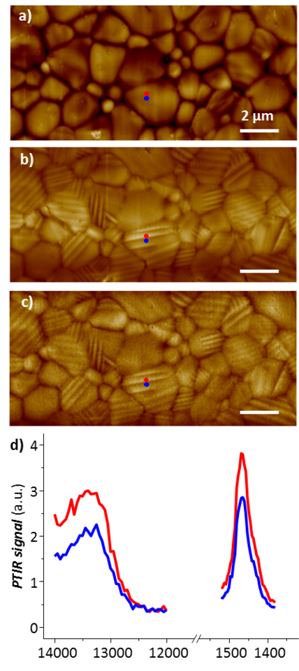 Observation of ferroelastic domains in organic-inorganic perovskites solar cells by PTIR