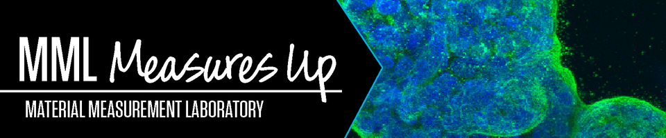 MML Measures Up masthead