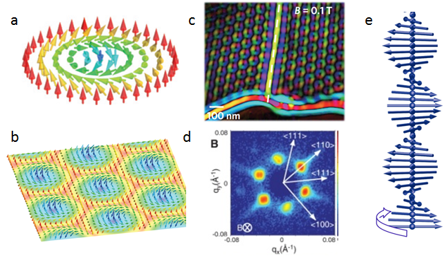Figure 1, (a) Illustrative diagram of a single Bloch skyrmion and (b) skyrmion array. (c) Real-space Lorentz TEM image of skyrmion array and (d) SANS pattern from a skyrmion array.(e) magnetic helix state